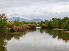 -芒洲湿地公园