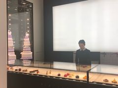 -BLACKSWAN黑天鹅(环球店)