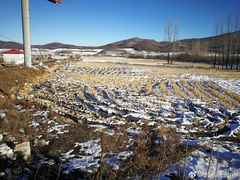 -人民防洪胜利纪念塔