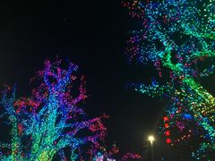 -唐城墙遗址公园
