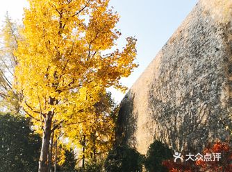 一段明城墙，半部南京史