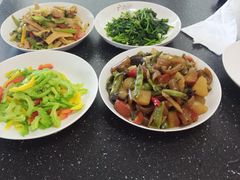 -天鹅到家·保姆月嫂育儿嫂(朝阳店)