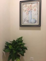 -美丽田园Beauty Farm