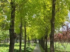 -长春市南湖公园