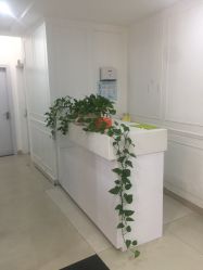 -瑞尼丝国际专业脱毛连锁