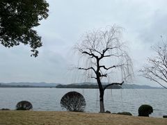 -浙江西子宾馆·瑶园咖啡厅