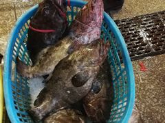 -华威西营里农产品批发市场