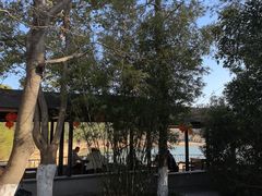 -天目湖山水园