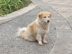 -仙海旅游度假区