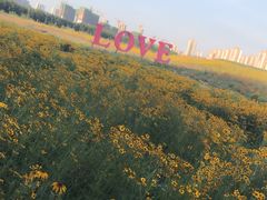 -丁香湖公园