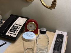 -广州富力丽思卡尔顿酒店