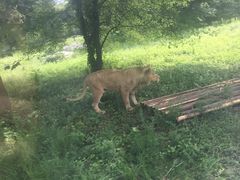 -西安秦岭野生动物园