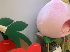 -BABIT巴比特宠物(MOMOPARK店)