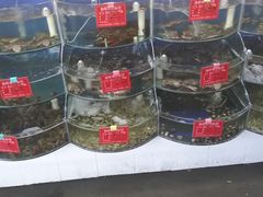 -叶存利海鲜大馅饺子(东戴河止锚湾店)