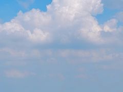 -紫峰大厦