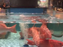 -阿伟海鲜楼·福建菜(延寿店)