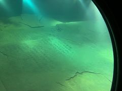 -白鹤梁水下博物馆