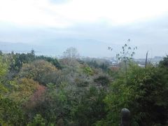 -蝴蝶泉公园