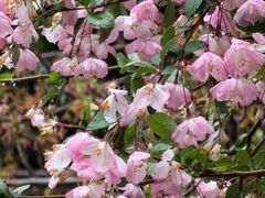 -宝山日月光中心