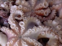-兴隆海鲜菜馆