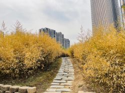 -大望京儿童游乐场