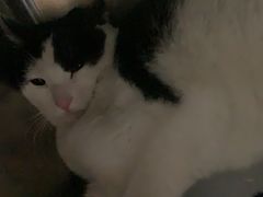 -宠颐生宠物医院·骨外科·犬猫全科诊疗中心(池州店)