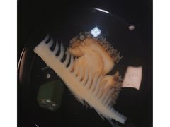 -鱼亭料理(芝罘店)