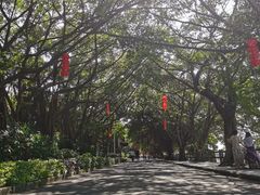 -大湾区中央湿地公园