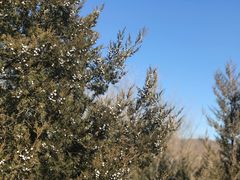 -鬼笑石后山停车场