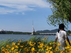 -高子水居