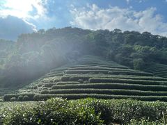 -龙井壹号·茶缘山景宴(龙井村店)