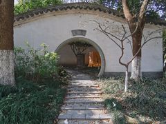 -运河游船(武林门码头)