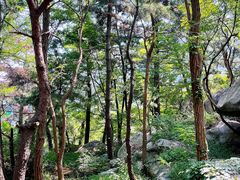 -崂山仰口游览区