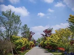 -蠡湖中央公园