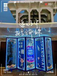 点击看大图 -Doris一站式游轮婚礼船东直营店(外滩店)