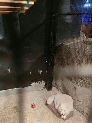 -酷嗒动物文化乐园(cutezoo西溪乐天城店)