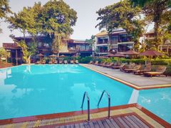 -卷心菜和避孕套餐厅(Pattaya)