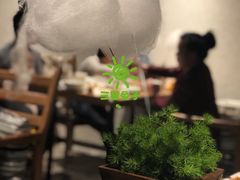 -小大董·烤鸭(凤凰汇店)