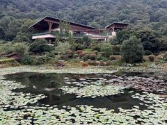 -桃花岭景区