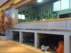 -丽池宫韩式汗蒸会馆(华灯坊店)