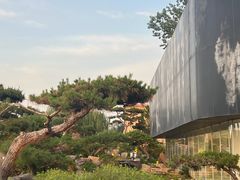 -罗红摄影艺术馆