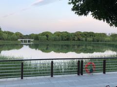 -昆山城市生态森林公园