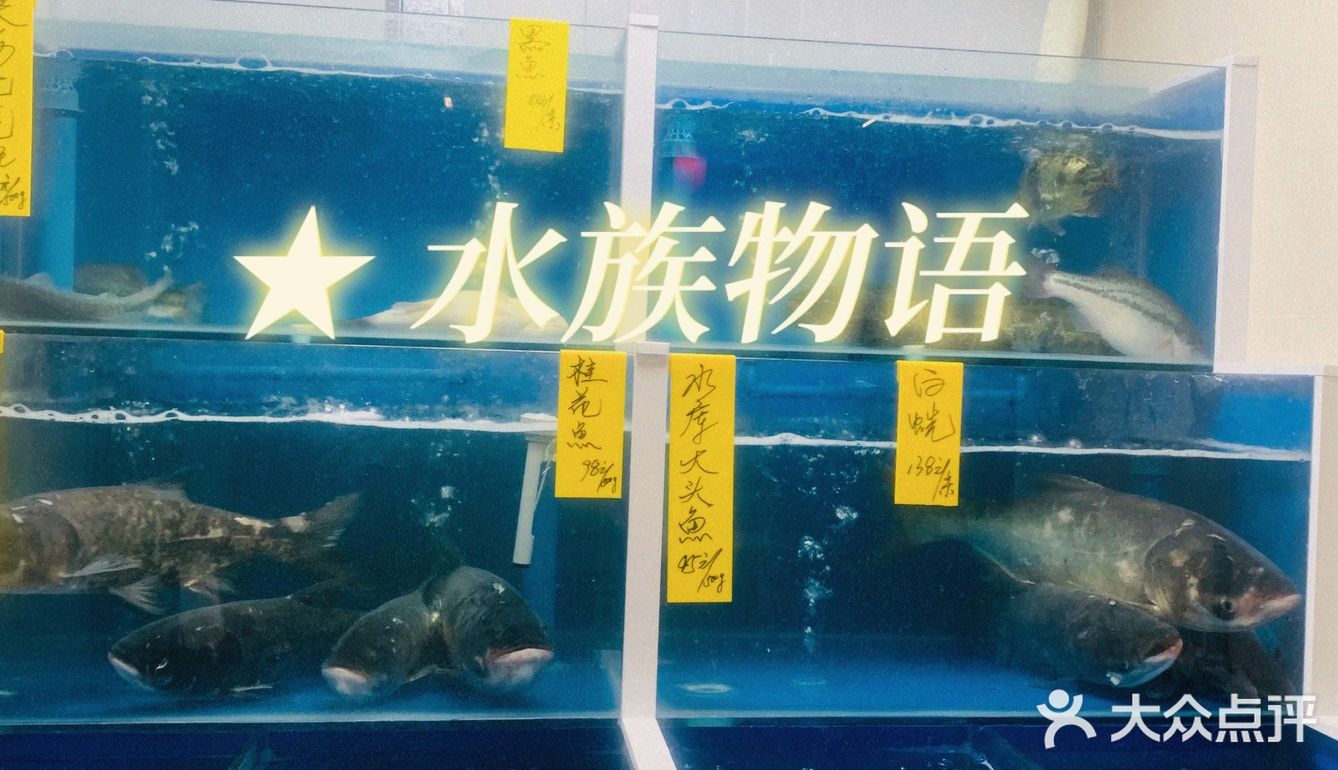 朋友今年想给家人订一桌不一样的年夜饭，他说有一家新开