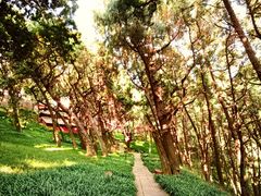 -七曲山风景区