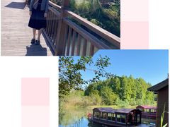 -溱湖国家湿地公园