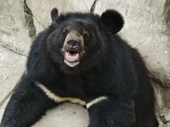 -石家庄市动物园