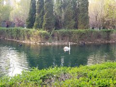 -长白岛森林公园