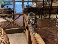 -绿色星球动物主题公园