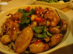 胆固醇超高的豉油皇鱿鱼-桥底辣蟹(谢斐道店)