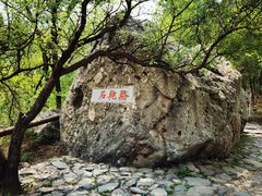 -阳台山自然风景区